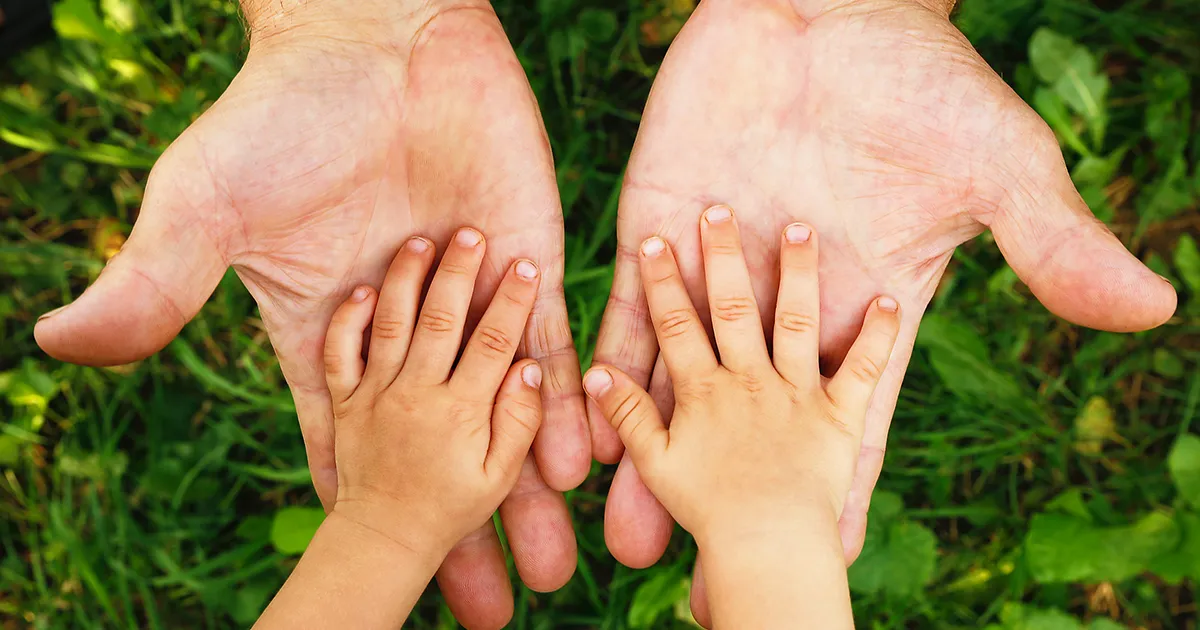 What Is the Florida Alimony Garnishment Law?