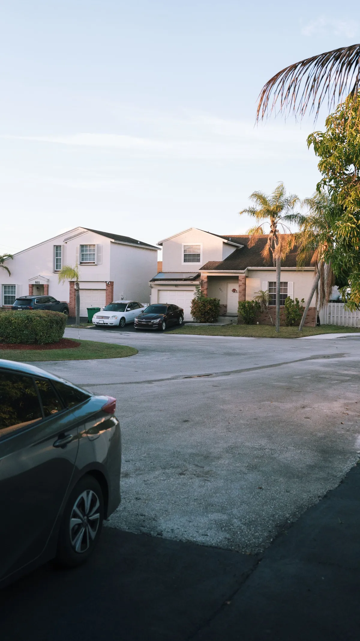 Florida suburban home with palm trees protected by the homestead exemption
